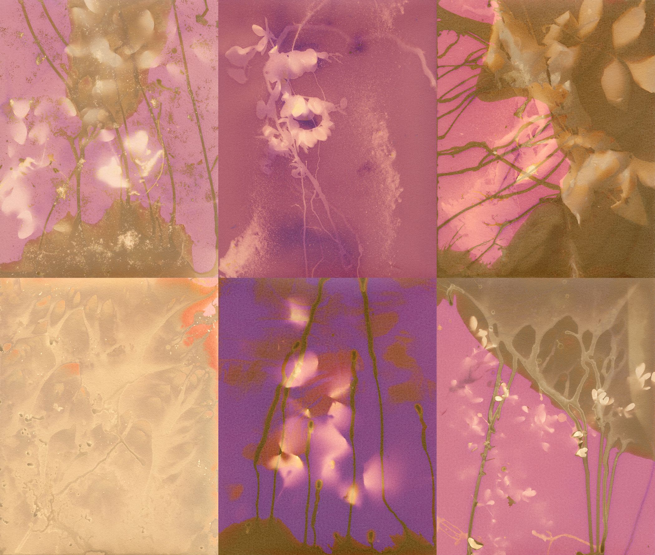 Using grief as a lens at Martha Street Studio - Classic107